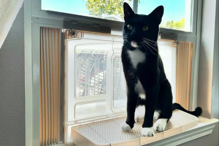 Illustration of Litter Box For Natural Odour Control With Essential Oils And Activated Carbon