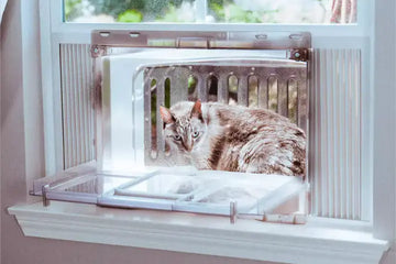 window-mounted litter box