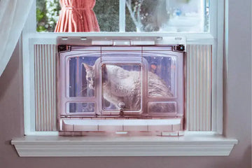 window cat litter box
