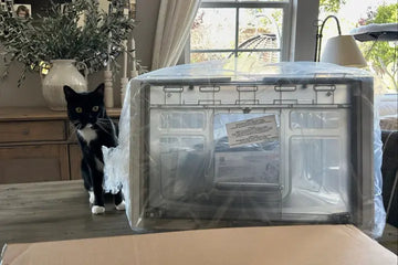 raised litter box