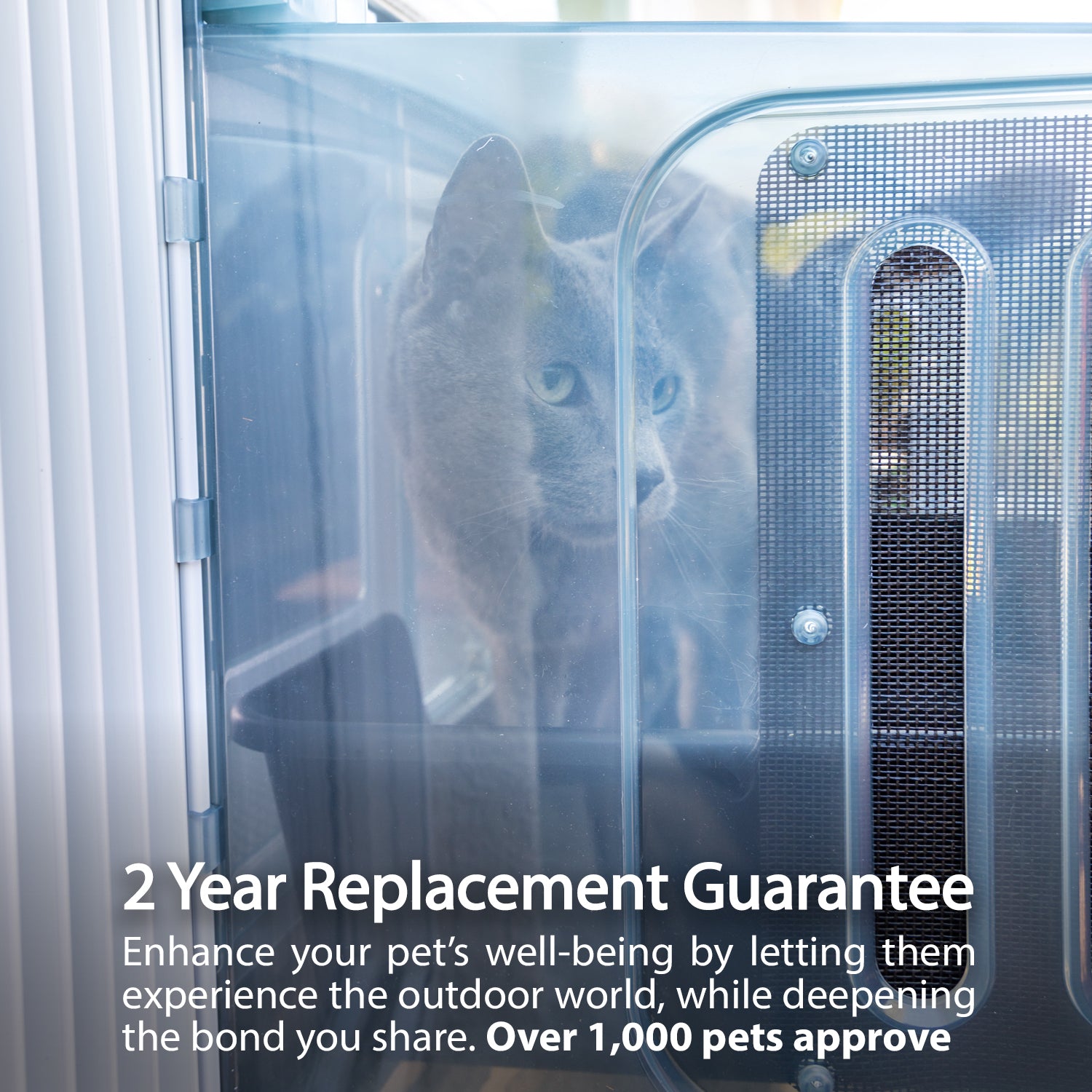 setup often think food meaning three fleas legit venetanry stain hate 365 smart pooping urinating water sale run head use