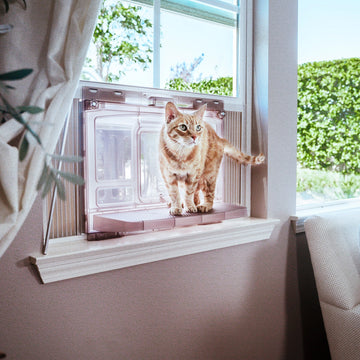 fear cat names catio litter box boy girl cleaner best female auto male outdoor enclosure get rid pee smell trays self mat
