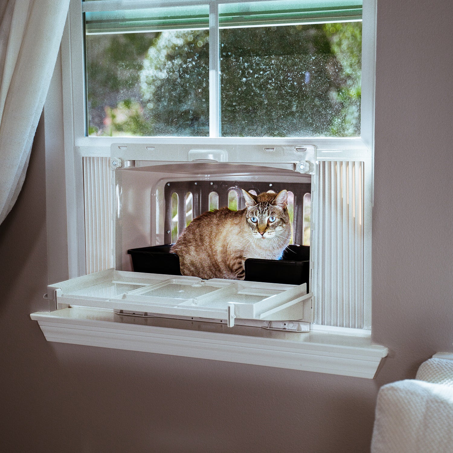 fear cat names catio litter box boy girl cleaner best female auto male outdoor enclosure get rid pee smell trays self mat