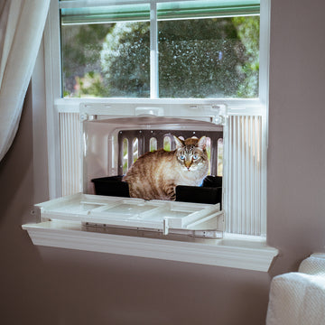 fear cat names catio litter box boy girl cleaner best female auto male outdoor enclosure get rid pee smell trays self mat
