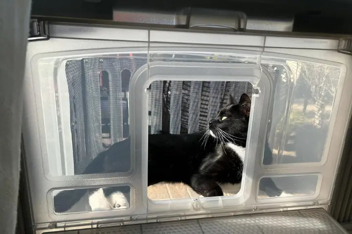 window cat litter box