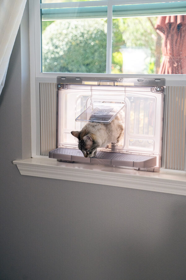 indoow cat window boxes