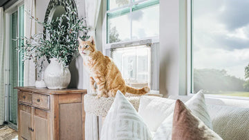 Reducing Cat Stress With Litter Box Enclosures