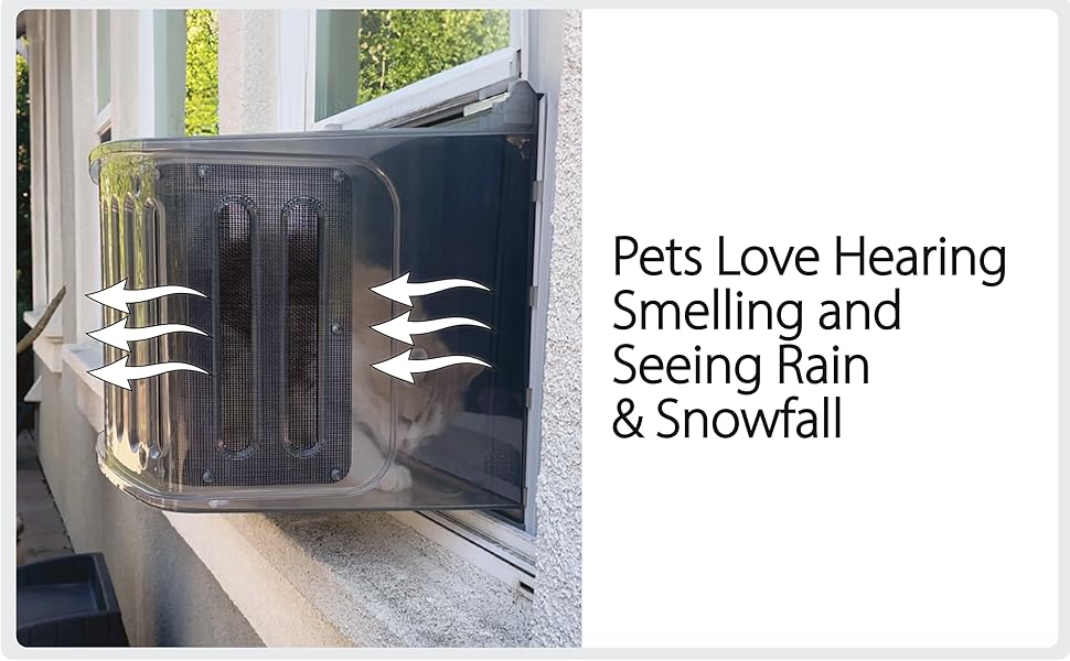 home remedy canine elite customer service electric meow night keep high sided living awesome city collar cone small change