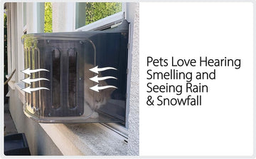 home remedy canine elite customer service electric meow night keep high sided living awesome city collar cone small change
