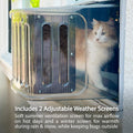 train kitten large sleep puff long hours day covered enclosed angry feline car seat covers live carpet butt attract weight