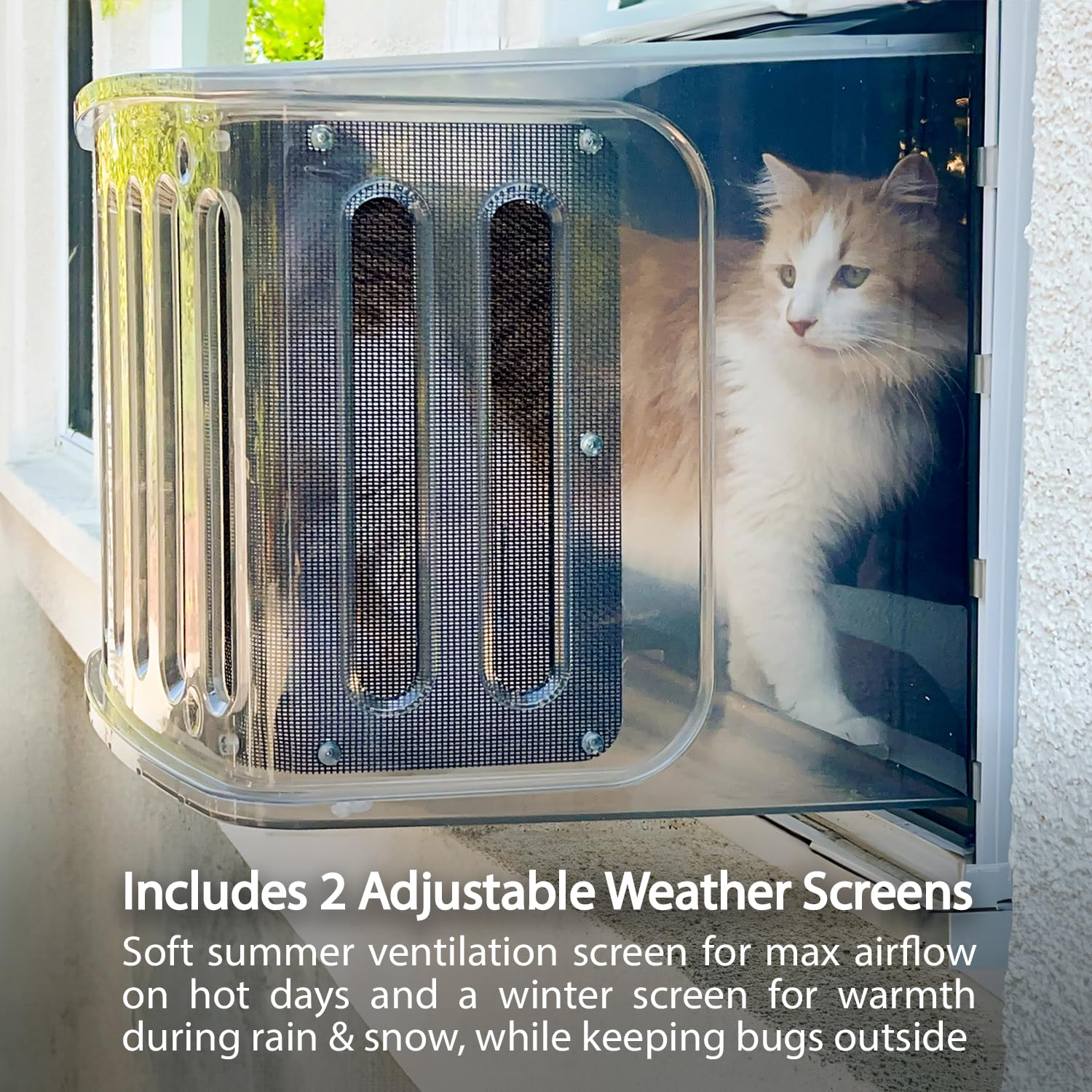 train kitten large sleep puff long hours day covered enclosed angry feline car seat covers live carpet butt attract weight