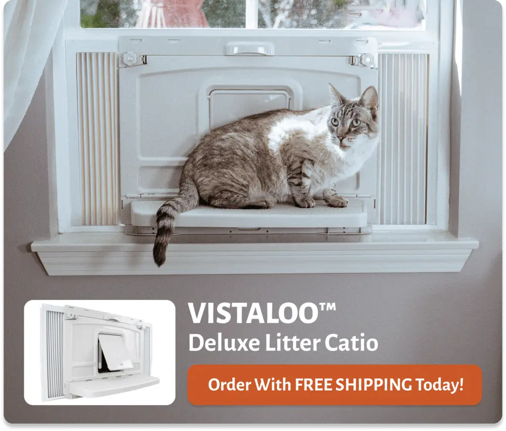 litter catio