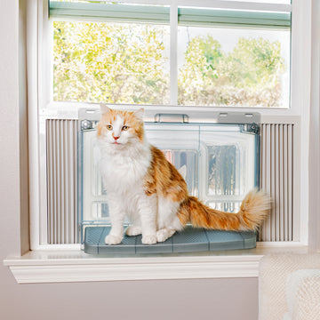 fear cat names catio litter box boy girl cleaner best female auto male outdoor enclosure get rid pee smell trays self mat