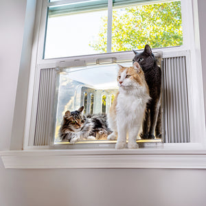 VistaCatio – The Premium Cat Window Catio Box