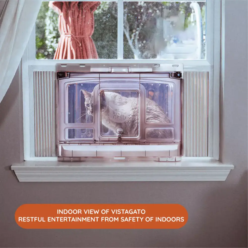 Are Cats Happy in a Catio?