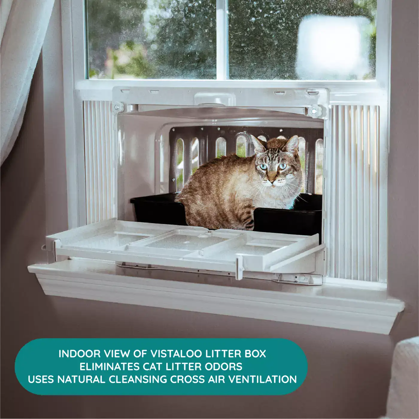 best cat window box