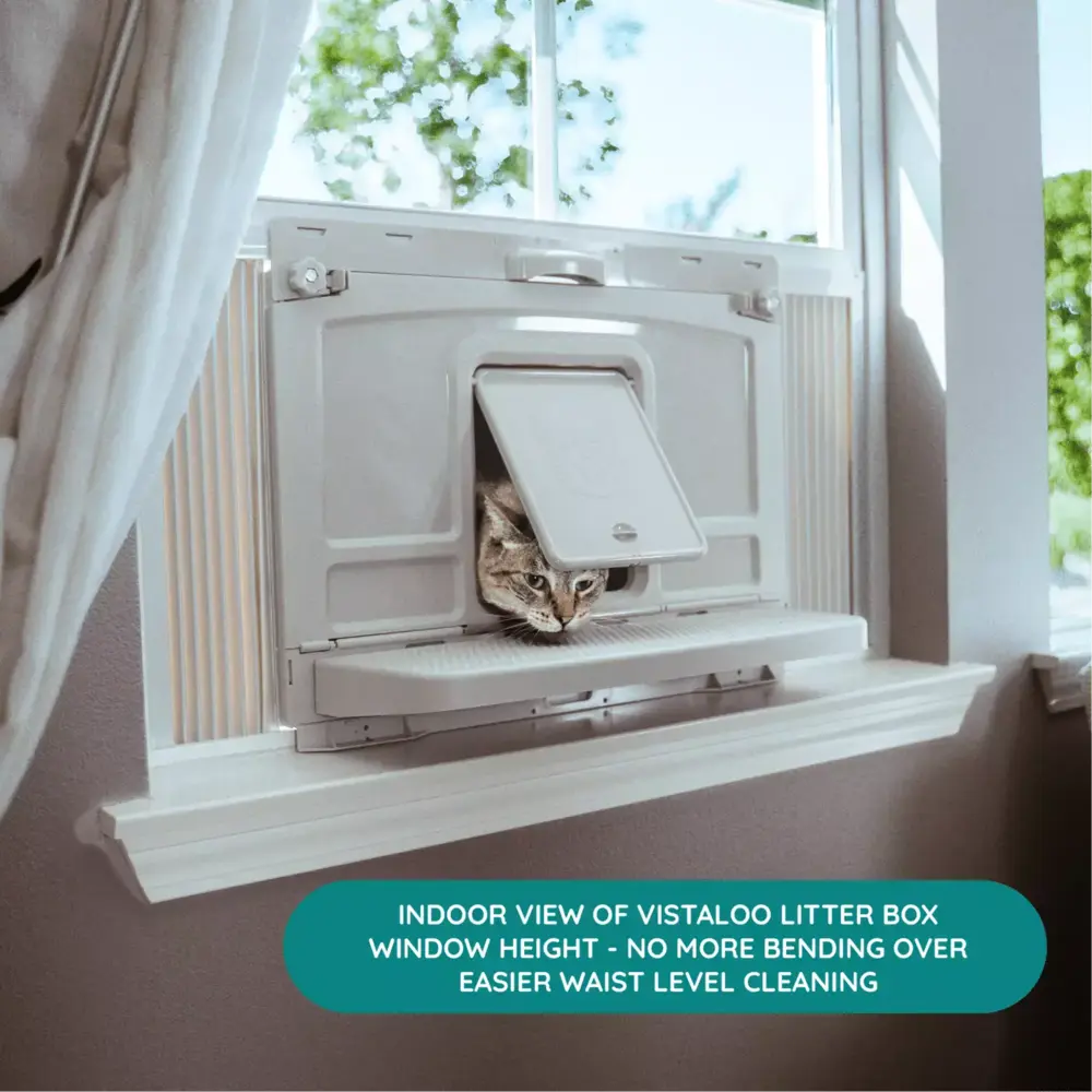 Window cat litter box best sale
