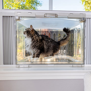 deterrent scent repellent veterinarians wag reviews pool symptoms device tunnel build steps clear sheet condos resistant